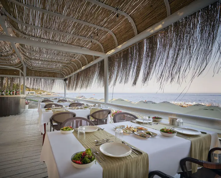 Restoran &amp; Bar