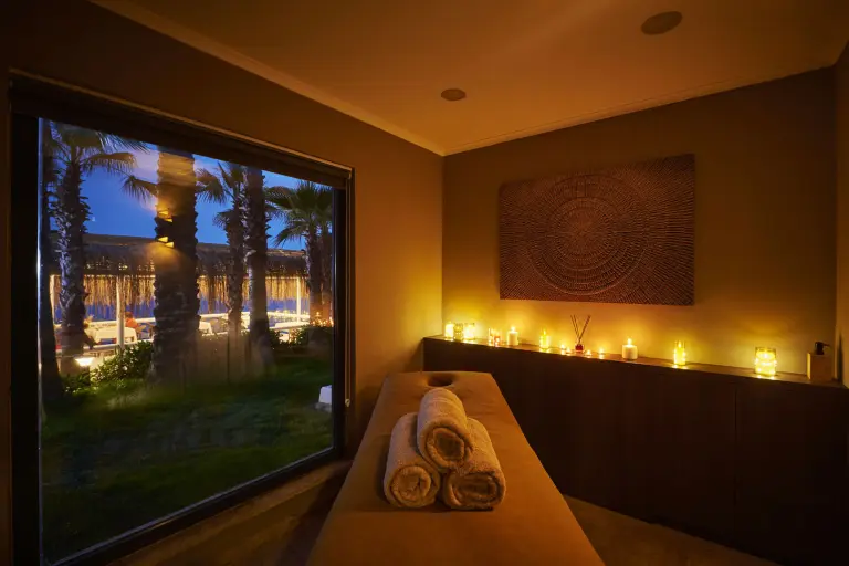 Spa &amp; Wellness